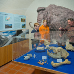 Museum Radstadt - Pongau - Schloss Lerchen - Bildergalerie